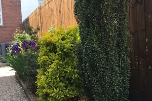 321 Bay 13th St, Brooklyn, NY 11214 - Photo 25