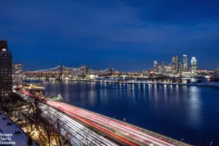 1 Beekman Pl, New York City, NY 10022 - Photo 5