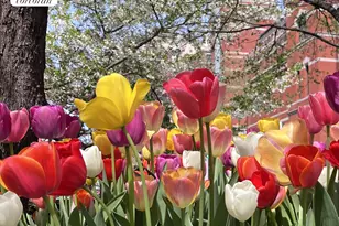 655 Park Ave, New York City, NY 10065 - Photo 11