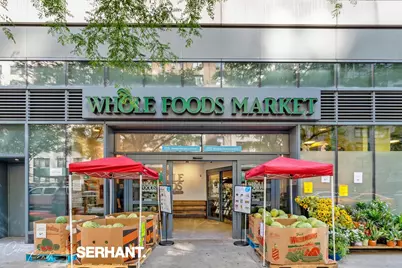 301 E 63rd Street #17HJ, New York City, NY 10065 - Photo 33