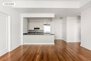 1 Hanson Pl, New York City, NY 11243 - Photo 3