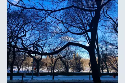 923 5th Avenue #2C, New York City, NY 10021 - Photo 13