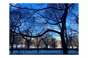 923 5th Ave, New York City, NY 10021 - Photo 13