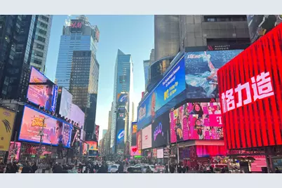 356 W 48th Street #1C, New York, NY 10036 - Photo 23