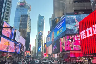 356 W 48th St, New York, NY 10036 - Photo 23