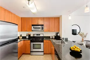 455 Main St, New York City, NY 10044 - Photo 3