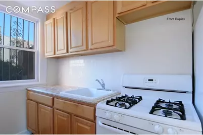 259 8th Street, Brooklyn, NY 11215 - Photo 5