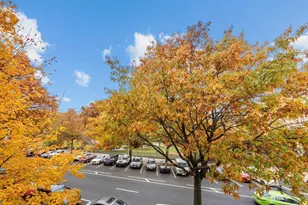 1919 Madison Ave, New York City, NY 10035 - Photo 3