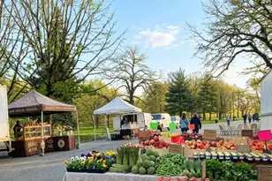 444-446 17th St, Brooklyn, NY 11215 - Photo 11