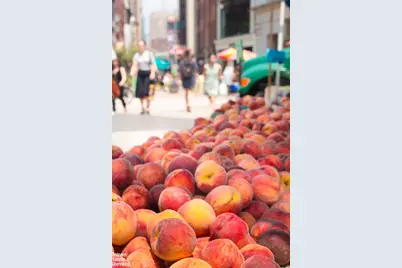 20 E 17th Street #7, New York City, NY 10003 - Photo 23