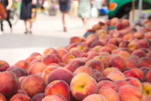 20 E 17th St, New York City, NY 10003 - Photo 17