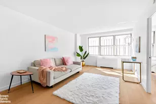 520 E 72nd St, New York City, NY 10021 - Photo 3