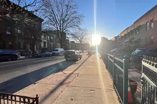 405 Halsey St, Brooklyn, NY 11233 - Photo 19