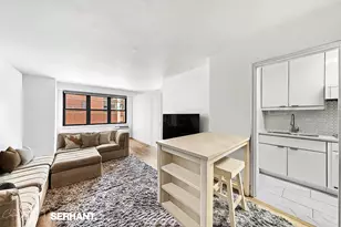 301 E 63rd St, New York City, NY 10065 - Photo 3