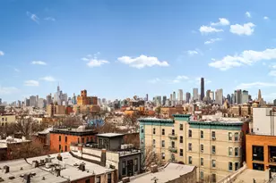 333 14th St, Brooklyn, NY 11215 - Photo 13