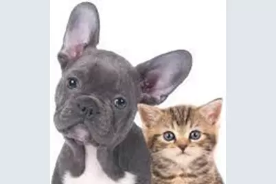 20 West Street #8-A, New York City, NY 10004 - Photo 21