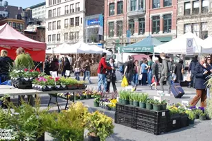 16 W 16th St, New York City, NY 10011 - Photo 13