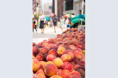 16 W 16th Street #5NS, New York City, NY 10011 - Photo 13