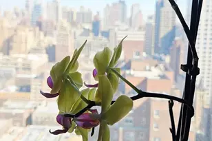 340 E 64th St, New York City, NY 10065 - Photo 7