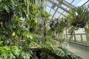 35 Crown St, Brooklyn, NY 11225 - Photo 9