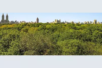 930 Fifth Avenue #11A, New York City, NY 10021 - Photo 13