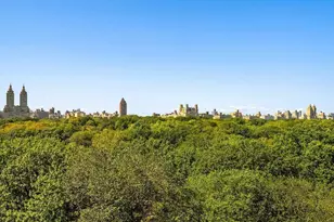 930 5th Ave, New York City, NY 10021 - Photo 13