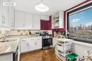 531 Main St, New York, NY 10044 - Photo 5