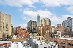 333 E 53rd St, New York, NY 10022 - Photo 11