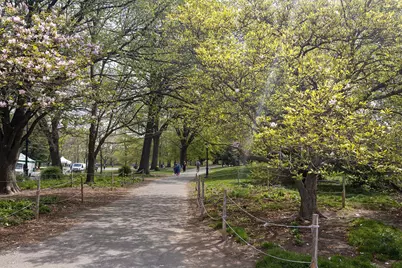 7 Prospect Park SW #3, New York City, NY 11215 - Photo 9