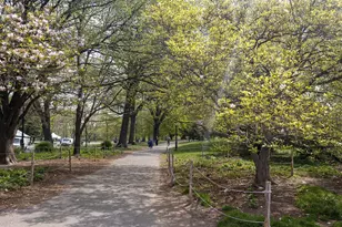 7 Prospect Park Southwest, New York City, NY 11215 - Photo 9