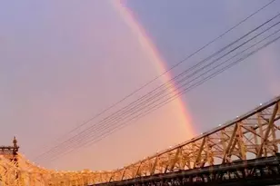 440 E 62nd St, New York City, NY 10065 - Photo 17