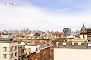 817 Classon Ave, New York City, NY 11238 - Photo 11