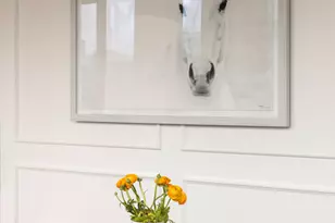 256 N 9th St, Brooklyn, NY 11211 - Photo 5