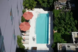 12 Halsey St, New York City, NY 11216 - Photo 7