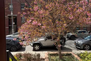 129 N 3rd St, New York City, NY 11249 - Photo 13