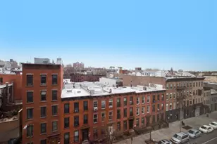 550 Vanderbilt Ave, Brooklyn, NY 11238 - Photo 5