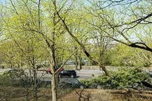 222 Riverside Dr, New York City, NY 10025 - Photo 13