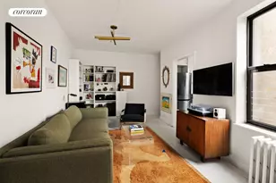 322 6th St, New York City, NY 11215 - Photo 3