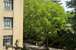 239 Central Prk W, New York City, NY 10024 - Photo 15