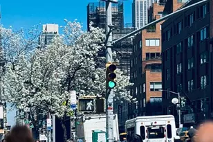 113 1/2 W 15th St, New York City, NY 10011 - Photo 11