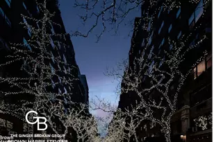220 E 73rd St, New York City, NY 10021 - Photo 13