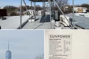 1581 Bergen St, New York City, NY 11213 - Photo 21