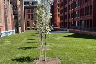 955 Sterling Pl, Brooklyn, NY 11216 - Photo 9