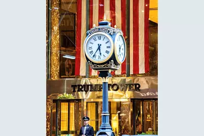 721 Fifth Avenue #41E, New York, NY 10022 - Photo 13