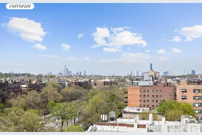 379 Ocean Parkway #3B, New York City, NY 11218 - Photo 13