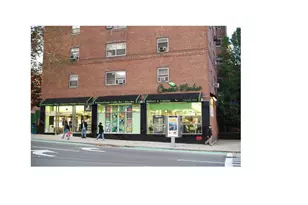 270 Jay St, New York City, NY 11201 - Photo 13