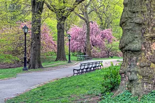 40 E 66th St, New York City, NY 10065 - Photo 23