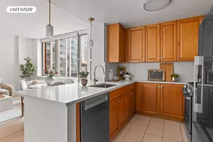 425 Main St, New York City, NY 10044 - Photo 3