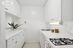 575 Main St, New York City, NY 10044 - Photo 3