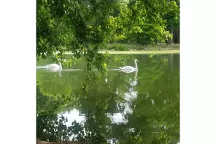 135 Prospect Park Southwest, New York City, NY 11218 - Photo 15